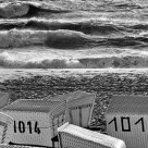 Surf